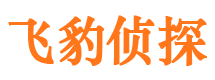 怀安市侦探调查公司